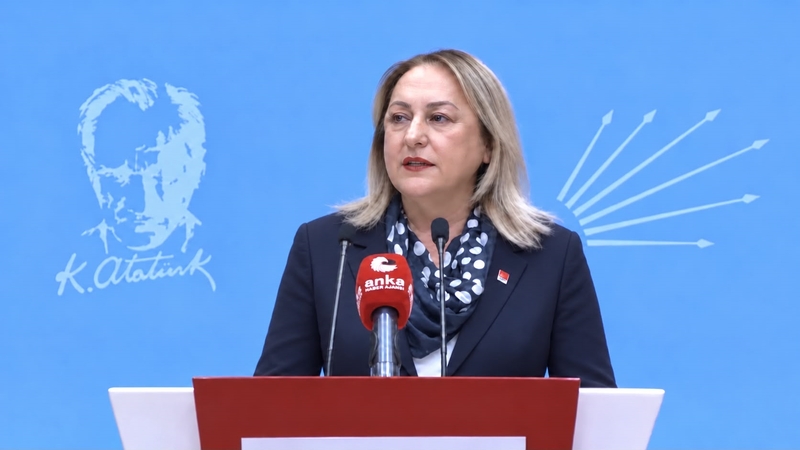 Ayten Gülsever Dünya Gıda Günü açıklaması,CHP Kadın Kolları gıda ve beslenme krizi,çiftçi ve üretici maliyetleri gıda fiyatları,çocuklarda yoksulluk beslenme çantası ,sağlıklı gıdaya erişim ve gıda denetimleri,gıda güvenliği,sosyal adalet 