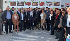 chp,tokat