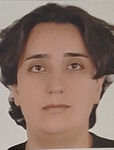 FATMA NUR EROL