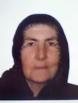 Gülefer Çatak