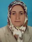 Hediye Güvenir