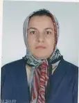Ayşe Kökçü