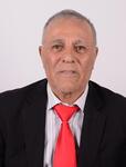 ZÜLFÜ ÇINAR
