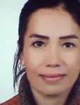 Nihayet Karaaslan