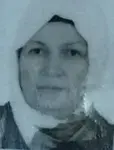 Hamide Dilan