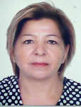 SEMA HİSAR