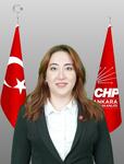 NURHAYAT ŞEVVAL KONAR