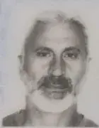 Ali Gök