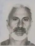 Ali Gök