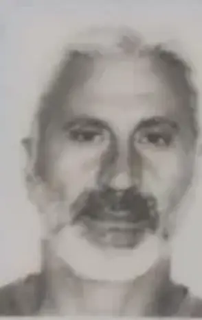 Ali Gök