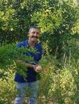 COŞKUN SARIGÜL
