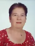 Sevgi Gelir