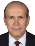NAMIK TAN