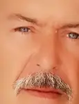 Mesut Taşcı