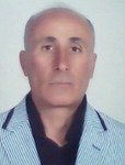 MEHMET ŞİMŞEK