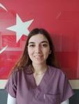 TESLİME HÜKÜMDAR KİBAR