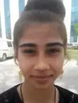 Gönül Bulut