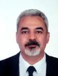 Veysi Ay
