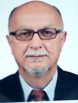 TAMER  ERDEN