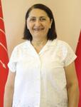 HAVA ŞENER