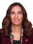EVRİM RIZVANOĞLU
