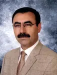 Şahismail Arslan