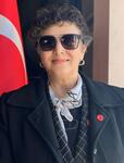 PERVİN DEMİREL
