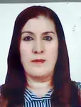 Sori İlçin