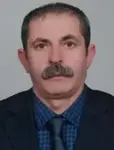 Ayni Çetin