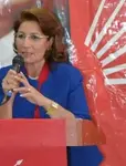 Gönül İbiş
