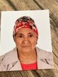 SEMA LADİKLİ