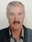 Mehmet Kurt